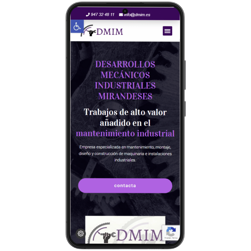 Dmim diseño web